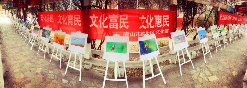 微信图片_20190328183326.jpg