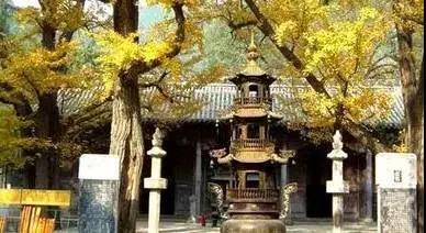 微信图片_20200225132211.jpg