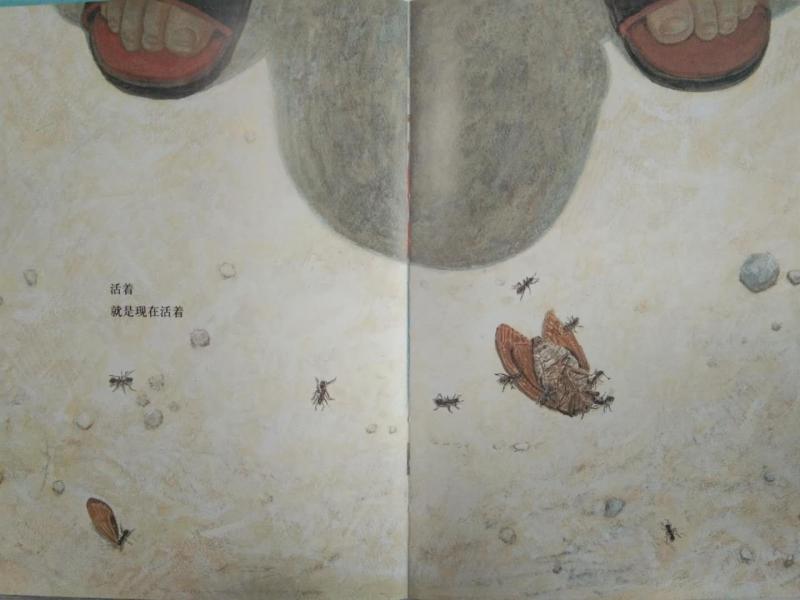 图片12.png