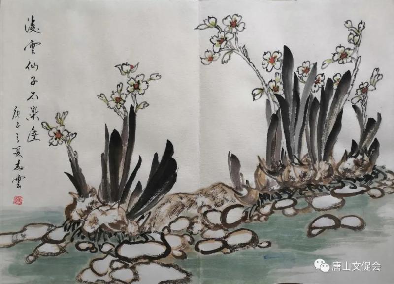 凌波仙子不染尘.jpg