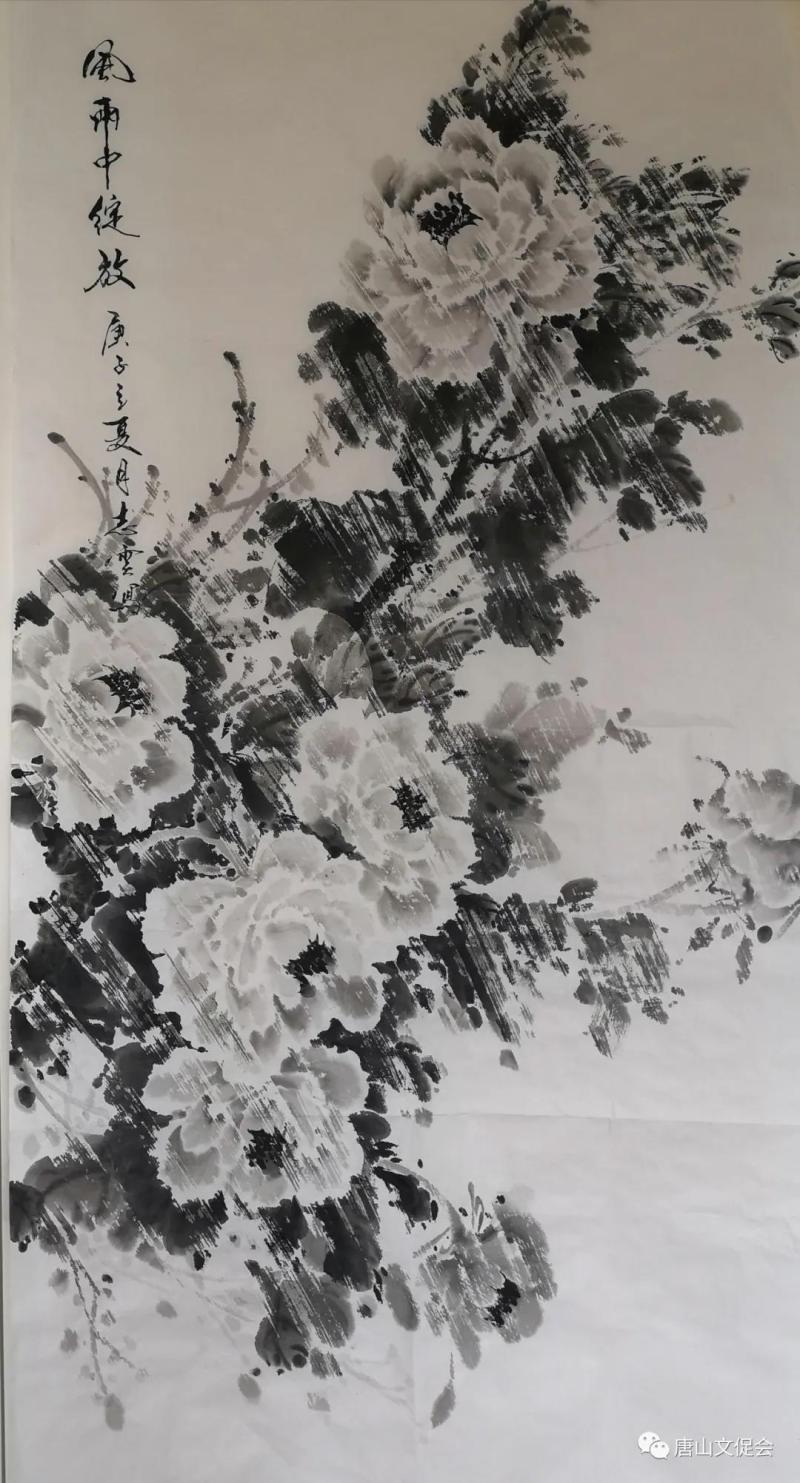 风雨中的绽放.jpg