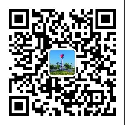 1591755847036011291.jpg