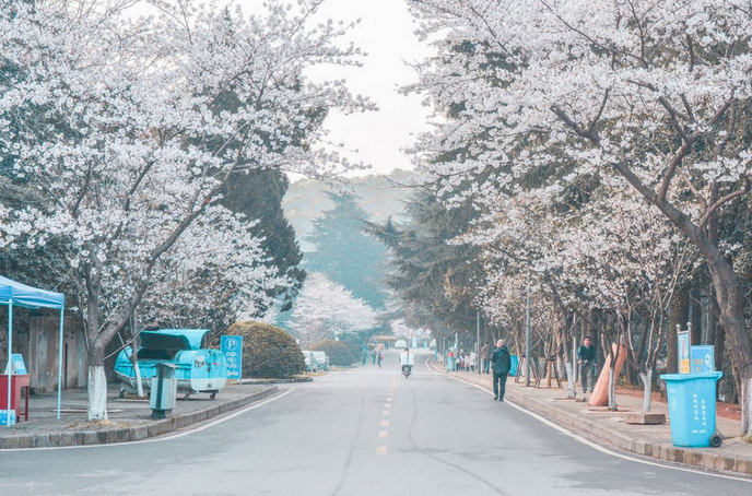 微信截图_20200918165310.png
