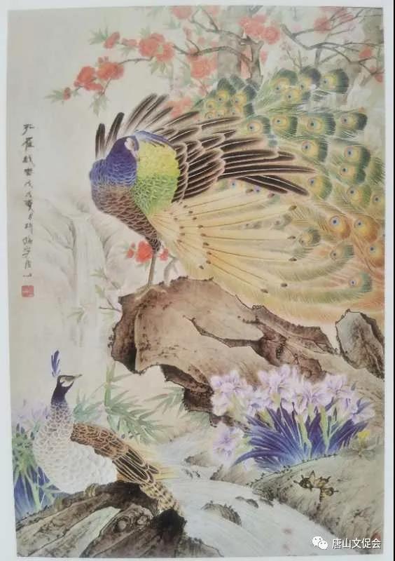 孔雀戏春.jpg