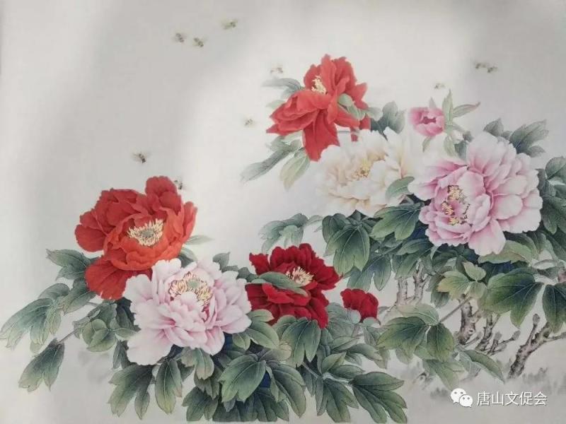 群芳争艳.jpg