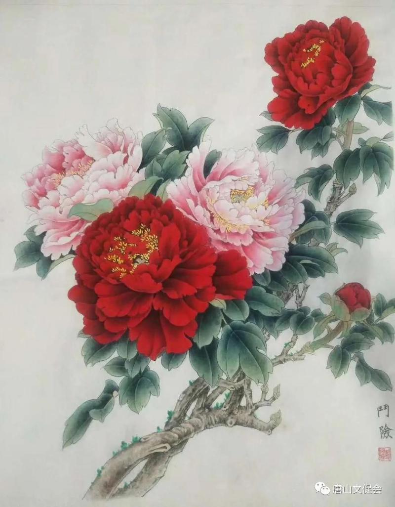 富贵花开.jpg