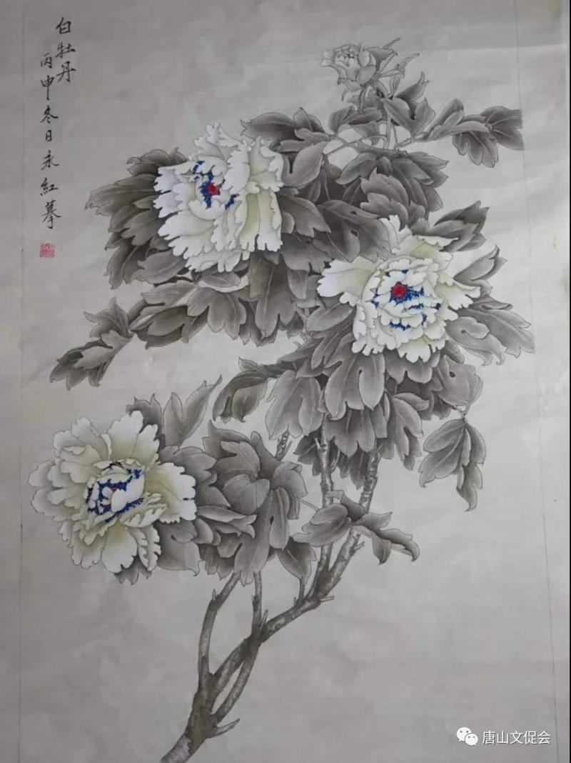 白牡丹.jpg
