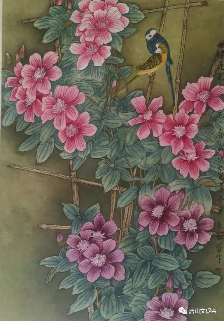 铁线莲开又一春.jpg