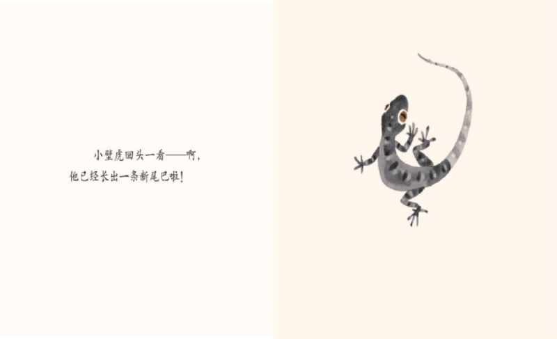 17.png