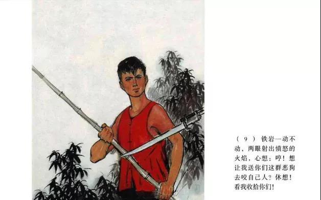 11.jpg