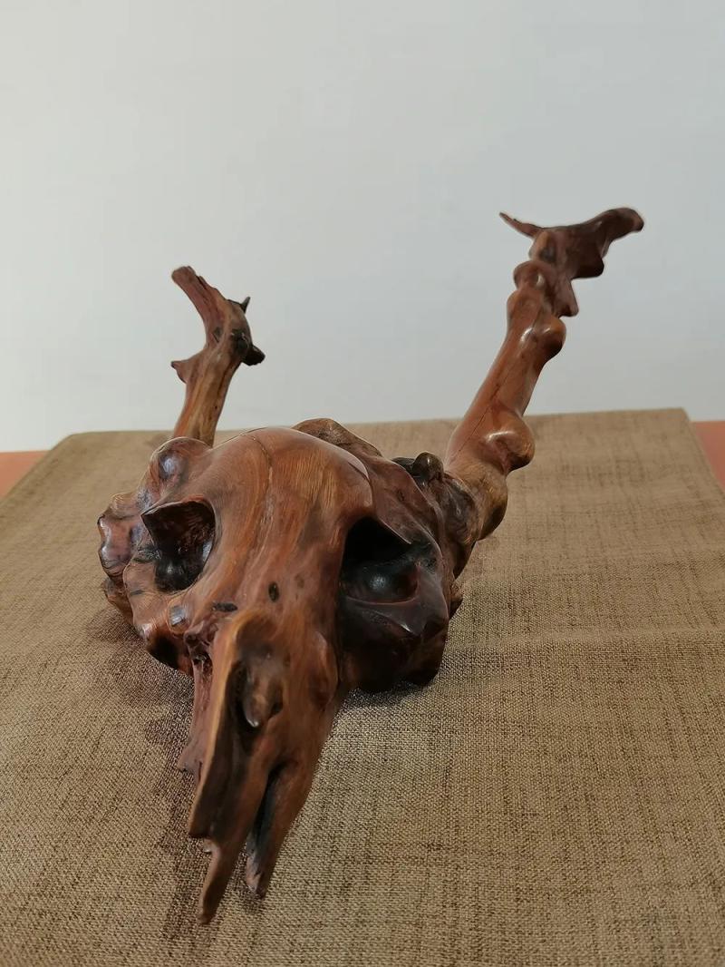 18.jpg