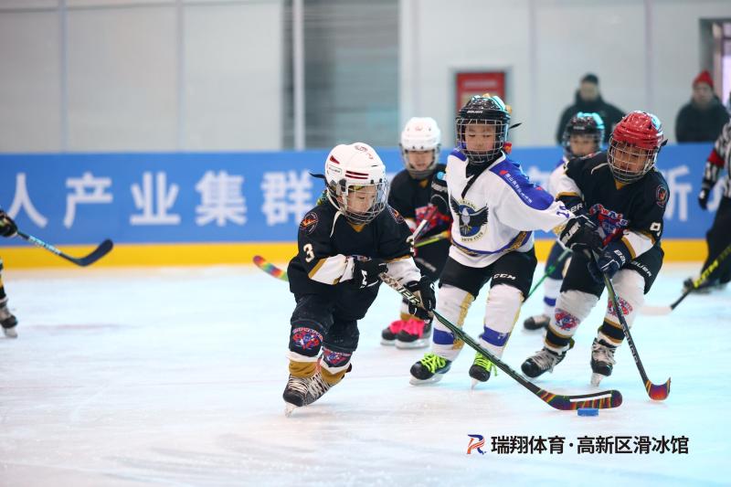 微信图片_20240220172441.jpg